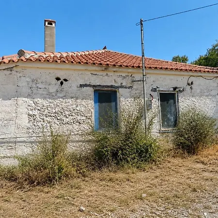 Rural - Among The Olive Trees Kalamaki (Messinia)