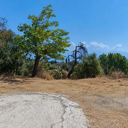 Rural - Among The Olive Trees Kalamaki (Messinia)