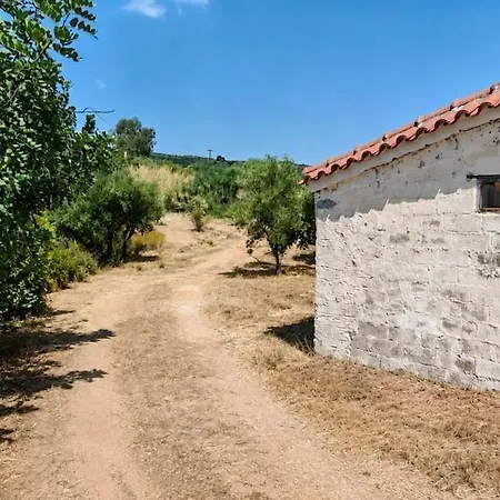 Rural - Among The Olive Trees Casa vacanze